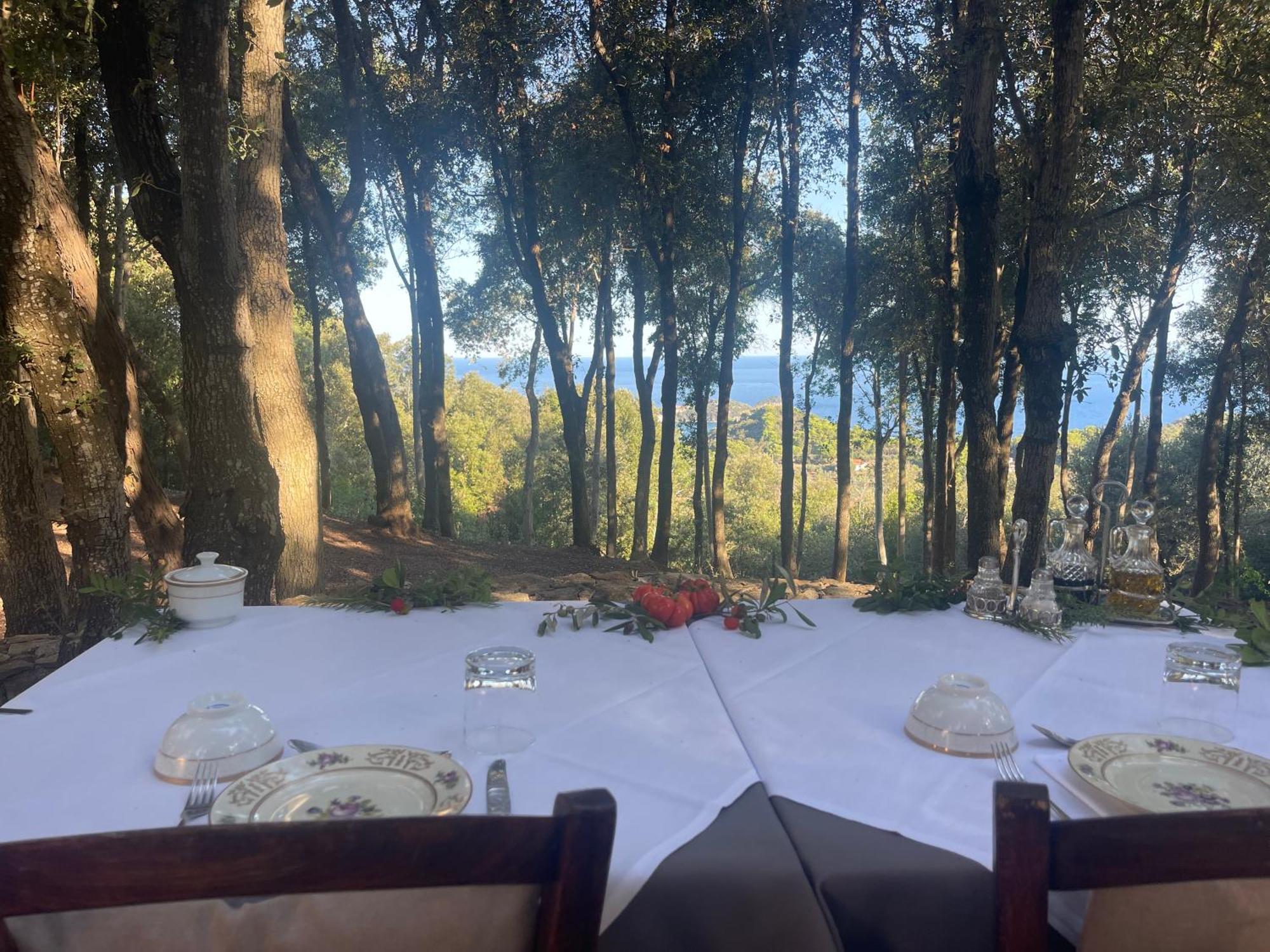 里约滨海 Experience Relais " Il Termine Elba "酒店 外观 照片
