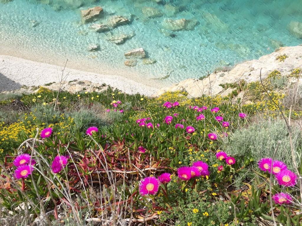 里约滨海 Experience Relais " Il Termine Elba "酒店 外观 照片